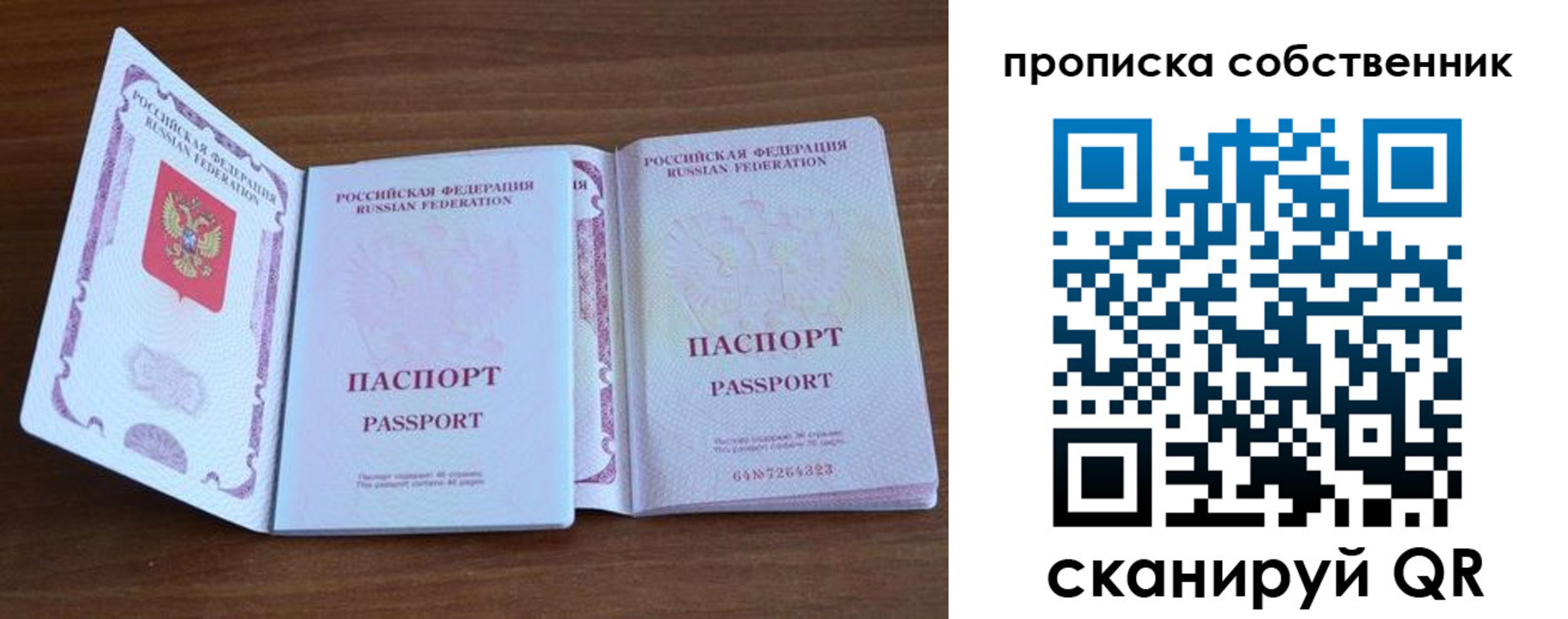 регистрация в Светлогорске