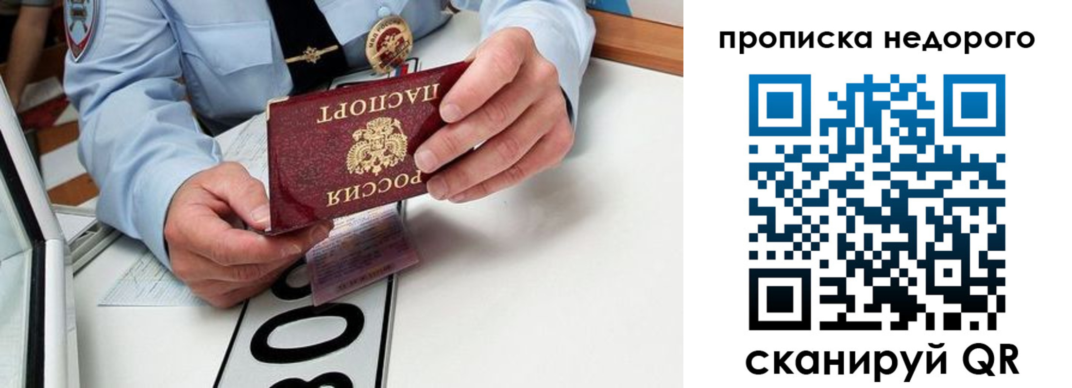 прописка регистрация в Светлогорске