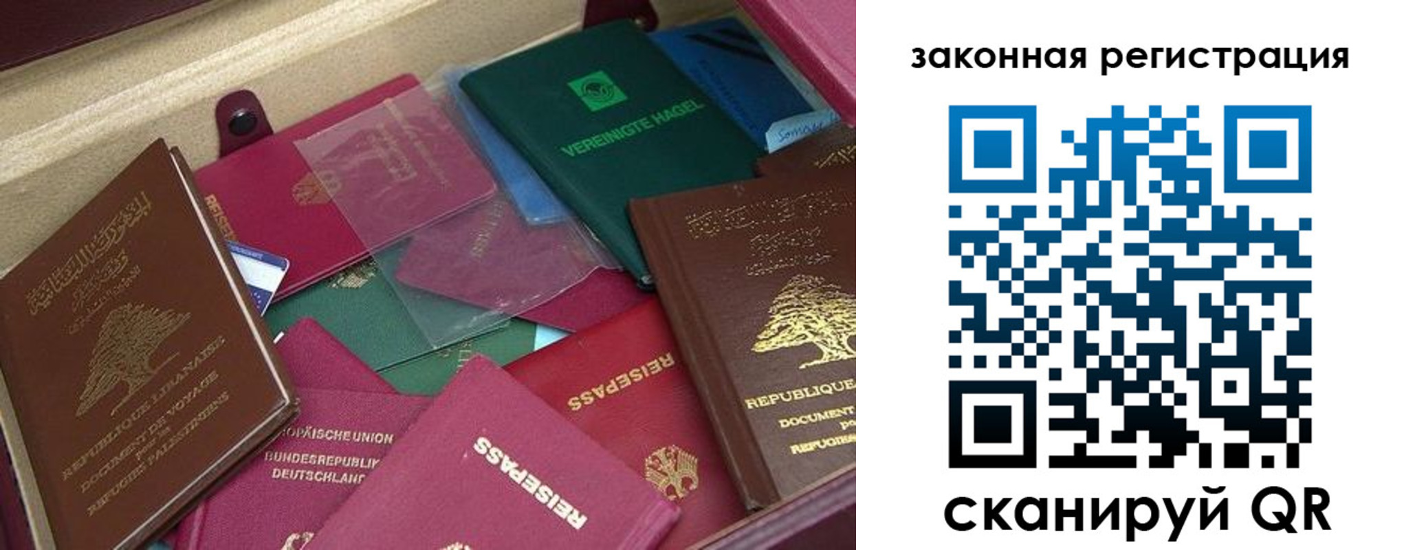 купить прописку в Светлогорске